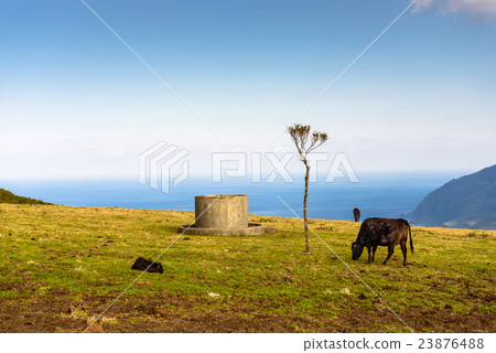 Hachijojima Island, Japan 23876488