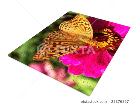 puzzle puzzle 23876867