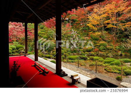 Kimpo-ji寺廟秋葉 23876994