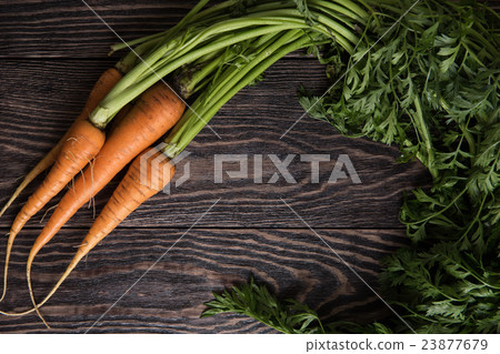 Freshly grown carrots 23877679