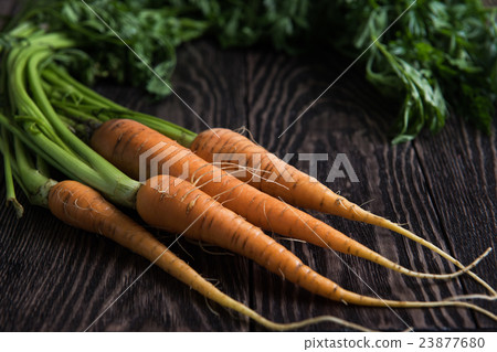 Freshly grown carrots 23877680