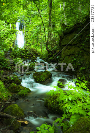 Oirase小河在Yunii落 Oirase小河在Yunii落 23877725