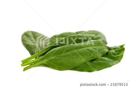 Fresh spinach with water drops 23879513