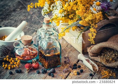 Bottles of tincture and dry healthy herbs Bottles of tincture and dry healthy herbs 23880824