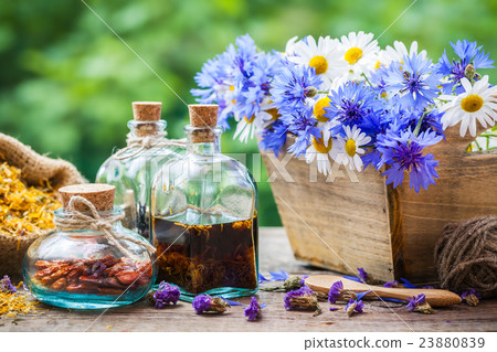 Bottles of tincture and dry healthy herbs Bottles of tincture and dry healthy herbs 23880839