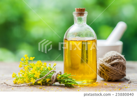Bottle of rapeseed oil (canola) and repe flowers Bottle of rapeseed oil (canola) and repe flowers 23880840