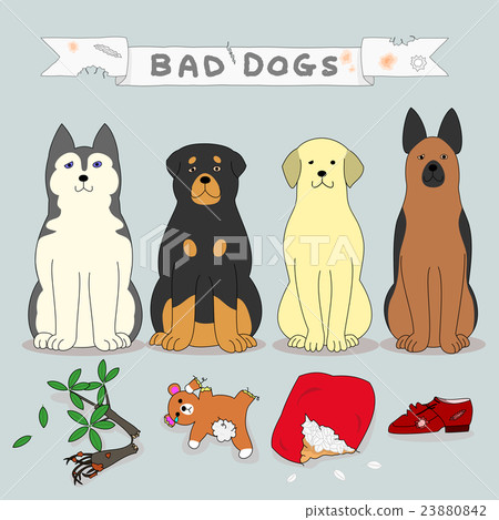 Mischievous dogs Mischievous dogs 23880842