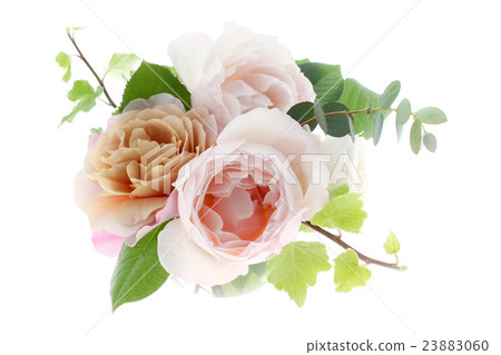 Barra · Julia · Generellas Gardiner 23883060