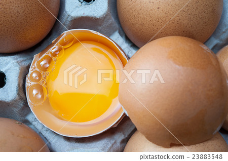 Eggs in panel Eggs in panel 23883548