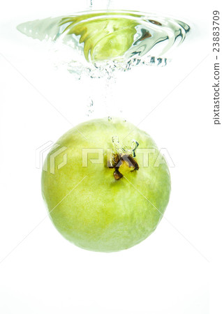 fresh guava 23883709