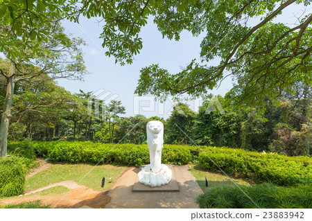 Merlion statue in park Merlion statue in park 23883942