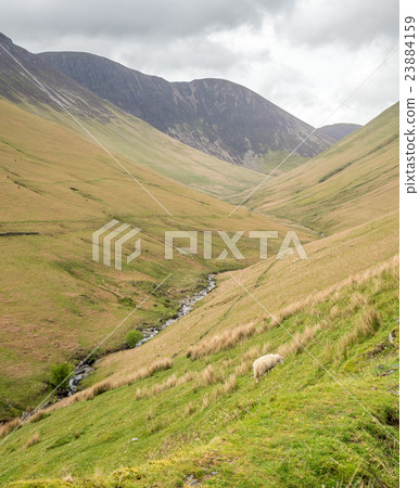 Countryside landscape view of England Countryside landscape view of England 23884159