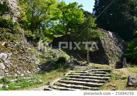 Azuchi Castle Ruins Honmaru Trail (2016.4) 23884250