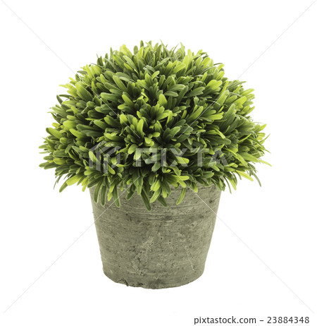 flowerpot flowerpot 23884348
