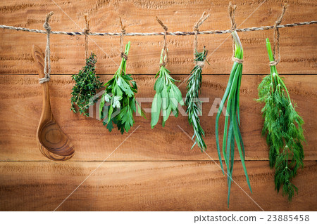 Assorted herb bundles hanging parsley  23885458