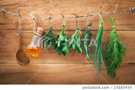 Assorted herb bundles hanging parsley 23885459