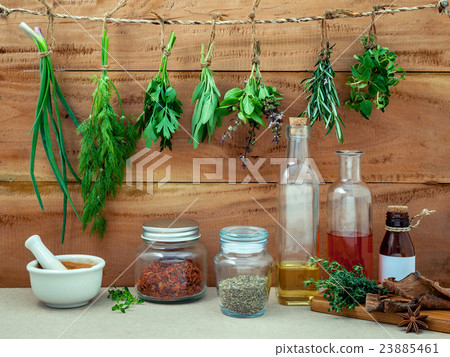Assorted herb bundles hanging parsley 23885461