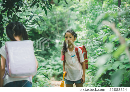 elementary student, primary school child, primary school student 23888834
