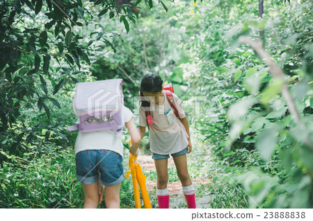 elementary student, primary school child, primary school student 23888838