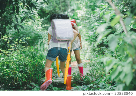 elementary student, primary school child, primary school student 23888840