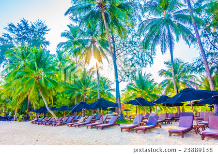 Sea and beach Sea and beach 23889138