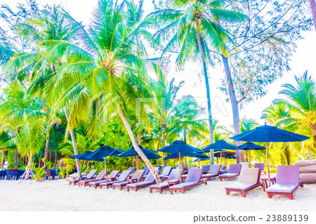 Sea and beach 23889139