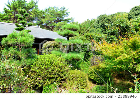 日本庭園 日本庭園 23889940