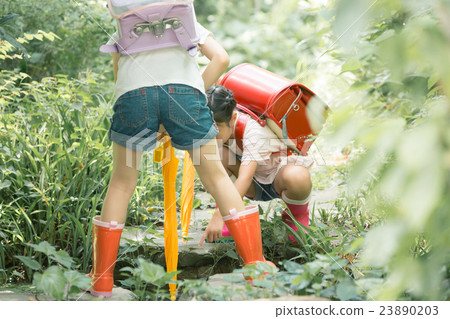 elementary student, primary school child, primary school student 23890203