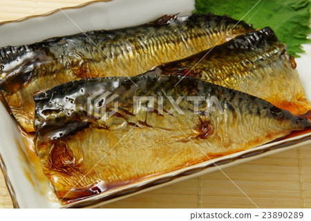 照燒鯖魚 23890289