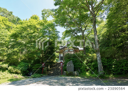 被茂密的樹，神社（神社神社），箱根，神奈川縣包圍的神社 23890564