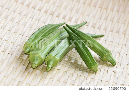 黃秋葵 黃秋葵 23890790