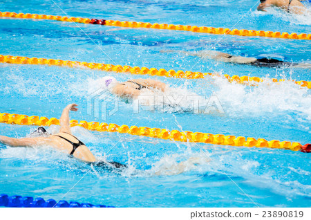 swimmers swimming in a pool 23890819