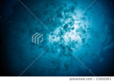 部落的蟎蟲 部落的蟎蟲 23892061