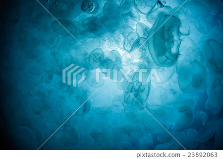 Horde of mites Horde of mites 23892063