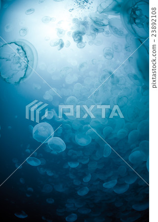 Horde of mites 23892108