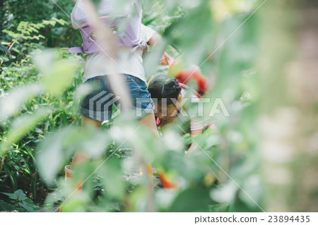 小學學生 小學生 雨後 23894435