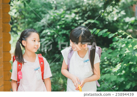 elementary student, primary school child, primary school student 23894439