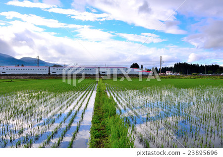 Rural landscape Rural landscape 23895696