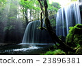 Nabottagaki（熊本縣） 23896381