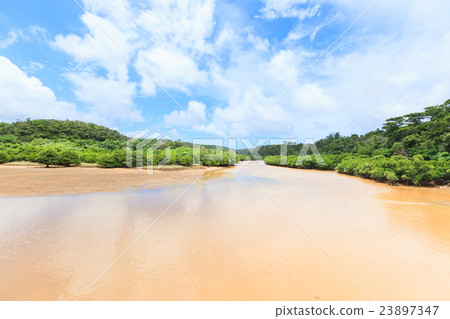 Hirugi forest in Keisatsu Bay 23897347