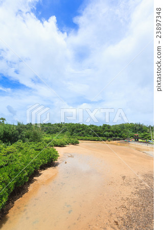 Hirugi forest in Keisatsu Bay 23897348