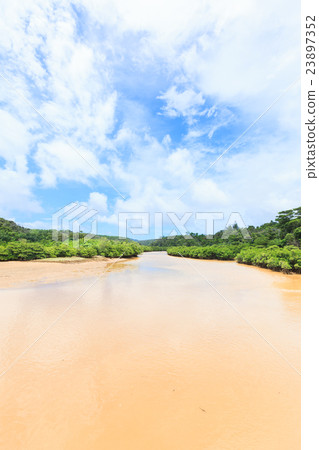 Hirugi forest in Keisatsu Bay Hirugi forest in Keisatsu Bay 23897352