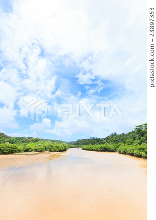 Hirugi forest in Keisatsu Bay Hirugi forest in Keisatsu Bay 23897353