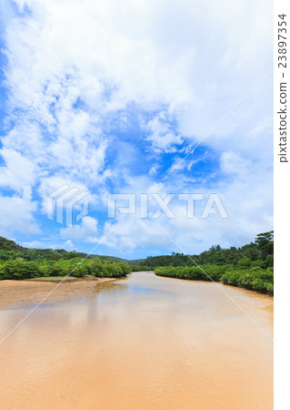 Hirugi forest in Keisatsu Bay Hirugi forest in Keisatsu Bay 23897354