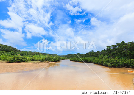 Hirugi forest in Keisatsu Bay 23897355