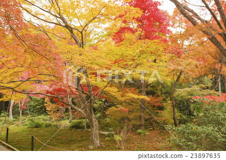 秋天寶貝小屋京都 23897635