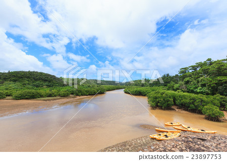 Keisatsu灣的Hirugi森林 Keisatsu灣的Hirugi森林 23897753