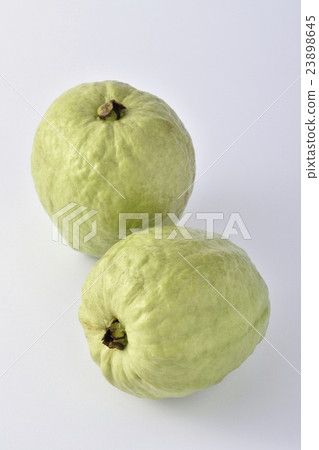 Guava fruit fruit 23898645