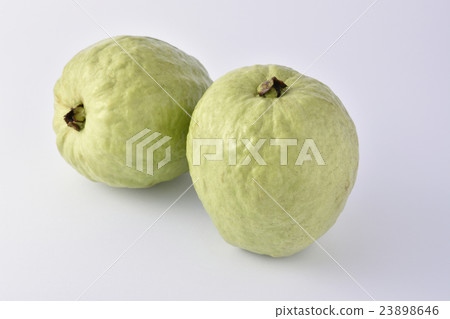 Guava fruit fruit 23898646