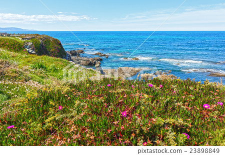 Atlantic blossoming coastline (Spain). 23898849